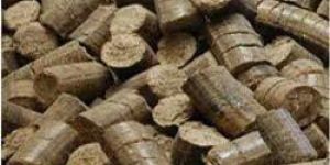 Bio Coal Briquettes