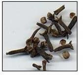 Cloves