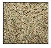 Cumin Seeds