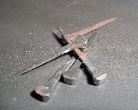 Horseshoe Nail