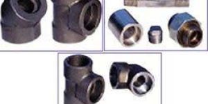 Carbon Steel Forged Fitting