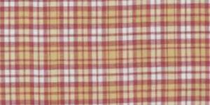 Madras Checks Fabric-23