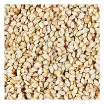 Sesame Seeds