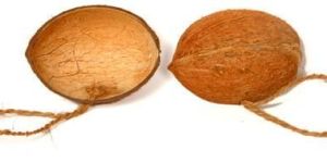 Coconut Shell Bird Feeders