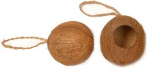 Coconut Shell Bird Houses