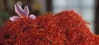 Kashmiri Mogra Saffron