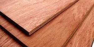 WPC Plywood