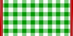 Gingham Check Fabric
