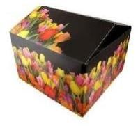 Printed Duplex Cartons