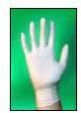 Latex Surgical Gloves