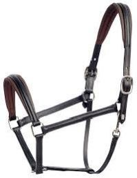 Leather Halters