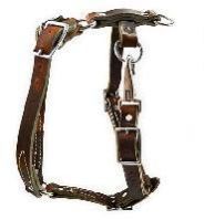 Leather Harness