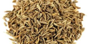 Cumin Seeds