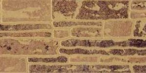 Ceramic Elevation Wall Tiles : Ewt 9008