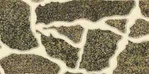 Ceramic Elevation Wall Tiles : Ewt 9014