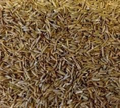Cumin Seeds
