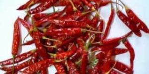 Red Chilli Powder
