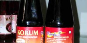 Fruit Syrups Fs - 001