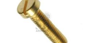 Brass Cheese Head Screw
