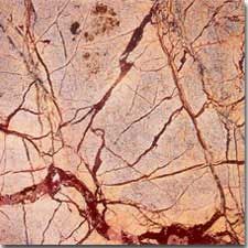 Rain 20% Forest Brown