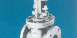 Gate Valve
