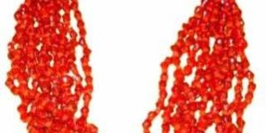 Glass Beaded Necklace Icc-09