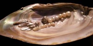 Pearl