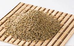 Cummin Seeds
