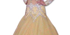 GOLD EMBROIDERED GOWN