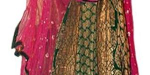 Urmilla Brocade Suit
