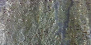 Deoli Green Polished Stone Slate