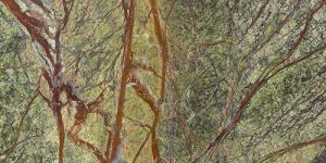 Bidasar Green Marble