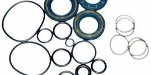 Oil Seals