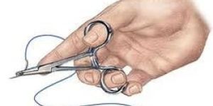 Chromic Catgut Suture