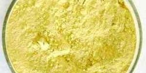 Andrographis Paniculata