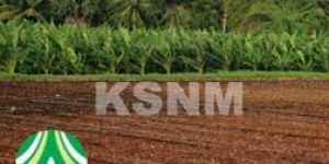 Drip Irrigation Line