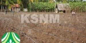 Drip Irrigation Tape Price