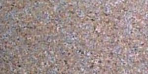 Golden Flower Granite