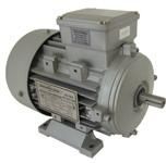 AC Induction Motors