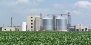 Biodiesel Production Plant