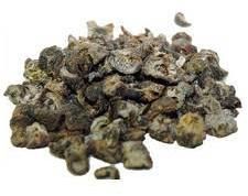 Phyllanthus Emblica - Amla Dry