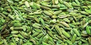 Fennel Seeds