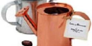 Traditional Watering Can