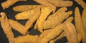 Turmeric Fingers