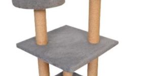 cat-2000 dragons plywood