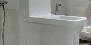 Adonis One Piece Toilet