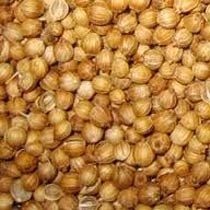 Coriander Seeds