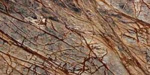 Rain Forest Brown Antique