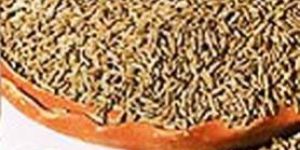Cumin Seed