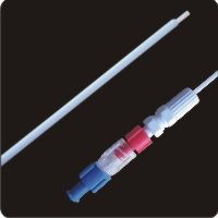 Locking Stent Delivery System